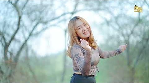 Vita Alvia - Santri Pekok (DJ Remix)