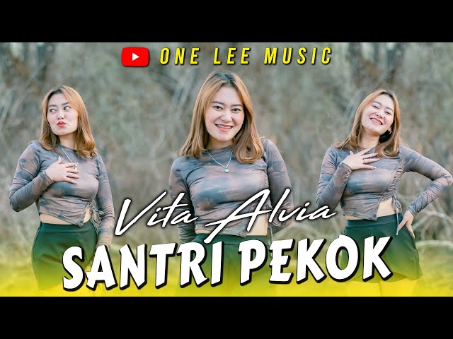 Vita Alvia - Santri Pekok (DJ Remix) class=