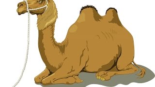 Верблюд. Картинки для детей, трафареты, раскраски. Альбом от DETKIru.net Верблюд. Картинки для детей, трафареты, раскраски. Альбом от DETKIru.net