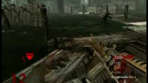 CODWAW Wunderwaffe DG2 Shi No Numa Gameplay