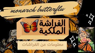 معلومات عن الفراشات | يا ترى الفراشة الملكية بتتكيف ازاي؟ | Monarch butterfly