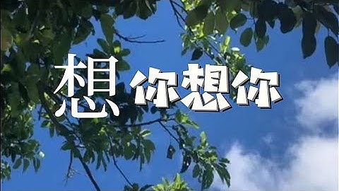 王欣婷  -想你想你- 无论我走到哪里都会想你  華語音樂 music lyrics