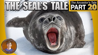 The Seals Tale