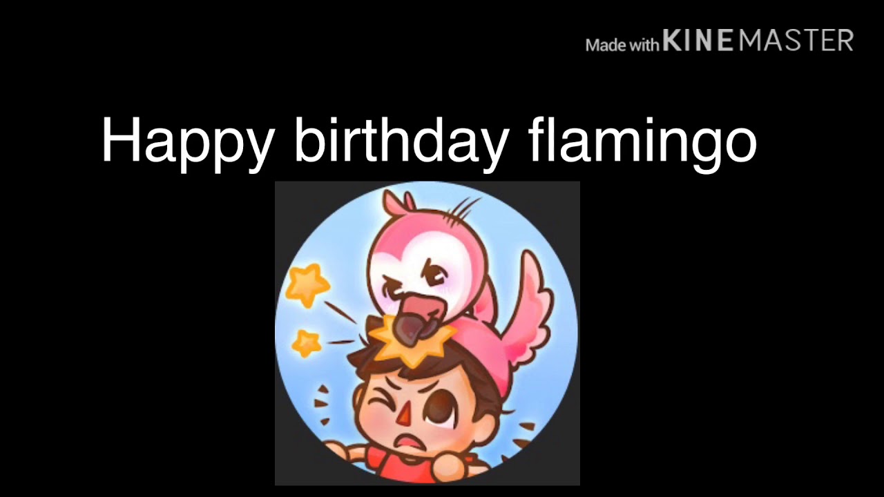 Happy Birthday Flamingo Youtube - flamingo happy birthday in roblox