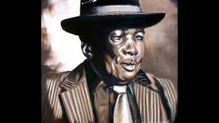 John Lee Hooker   This Land is Nobody's Land   YouTube