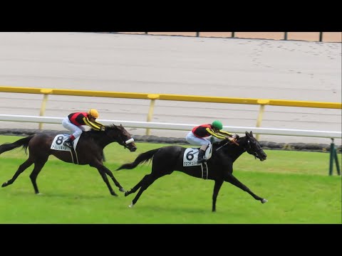 ムコ商品　クロワデュノール　メイクデビュー（新馬戦）　現地的中応援馬券 クロワデュノール メイクデビュー（新馬戦） 現地的中単勝馬券