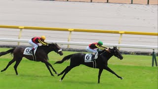 ムコ商品　クロワデュノール　メイクデビュー（新馬戦）　現地的中応援馬券 新馬戦 メイクデビュー東京 クロワデュノール 現地的中