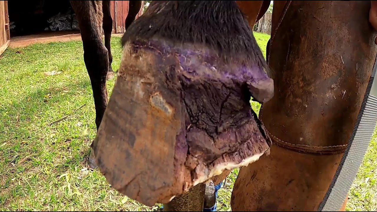 1 dos PIORES  cascos  que PEGAMOS  ... reparação