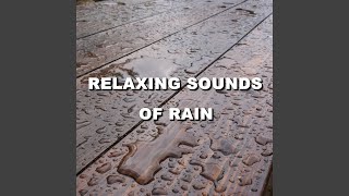 Enchanting Daybreak Rain Sounds