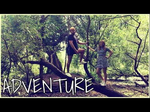 WE FOUND A SWAMP🧙🏻‍♂️🌾 [CC]