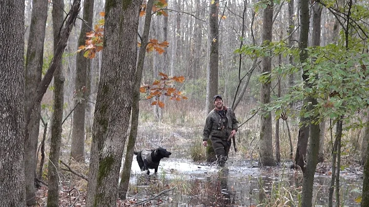 Climate Informed Restoration of Bottomland Hardwood Forests