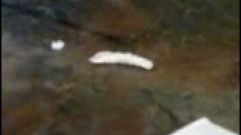 Como hacer un gusano