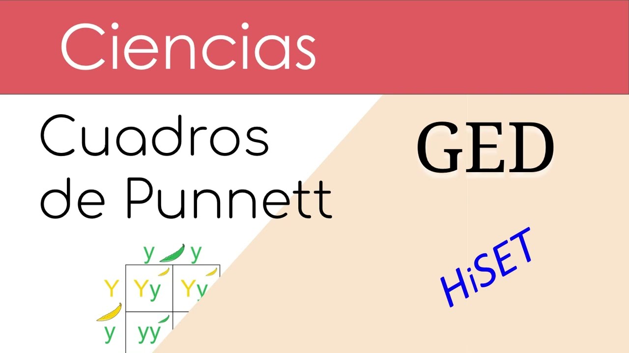 GED Ciencias Genética con Cuadros de Punnett