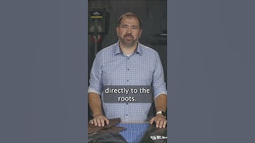 How to easily water new and young trees