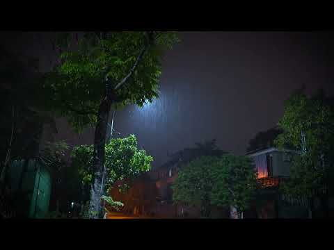 Relaxing Sleep Music With Gentle Rainy Night | Reduce Stress and Relaxation