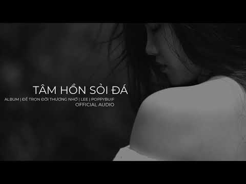 Tâm Hồn Sỏi Đá - Lyric - Cover Leepop