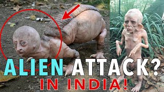 This alien scared the Sh*t out of farmers,  Until they find out it was harmless | ALIEN ATTACK INDIA by Life on Planet 700 views 2 years ago 3 minutes, 2 seconds