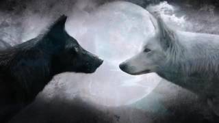 Hero's - anime wolves