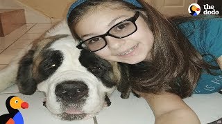 Girl Losing Vision Was Lonely Until She Met This Dog | The Dodo This Woman Lost Hope Saving Her Skeleton Dog Until The Dodo