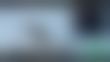 GER, NOdeL un.org oli wildlifestudios.com vivendi.com gameloft.com Asphalt U0 n De12 Sky W0 81652861