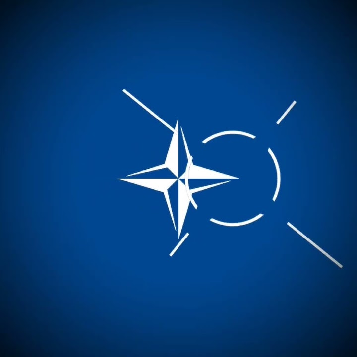 'NATO family' | #countryballs edit | inspired by @faqids2681