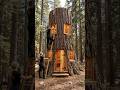 This Treehouse Build Will Blow Your Mind 😱 Full Progress Video!#Treehouse #Construction