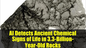 AI Detects Ancient Chemical Signs of Life in 3.3-Billion-Year-Old Rocks