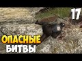 ОХОТА НА СЕВЕРНУЮ ЗНАТЬ ➤ Mount &amp; Blade 2: Bannerlord #17