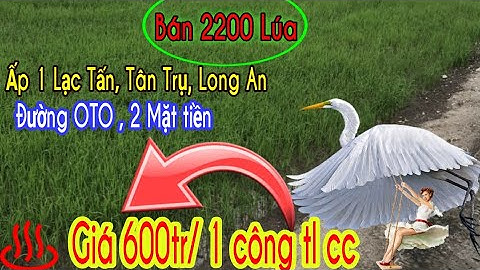 🔴Số 85- Bán đất long an | Bán đất Lúa , Ấp 1 Lạc Tấn, Tân Trụ | Chợ tốt long an