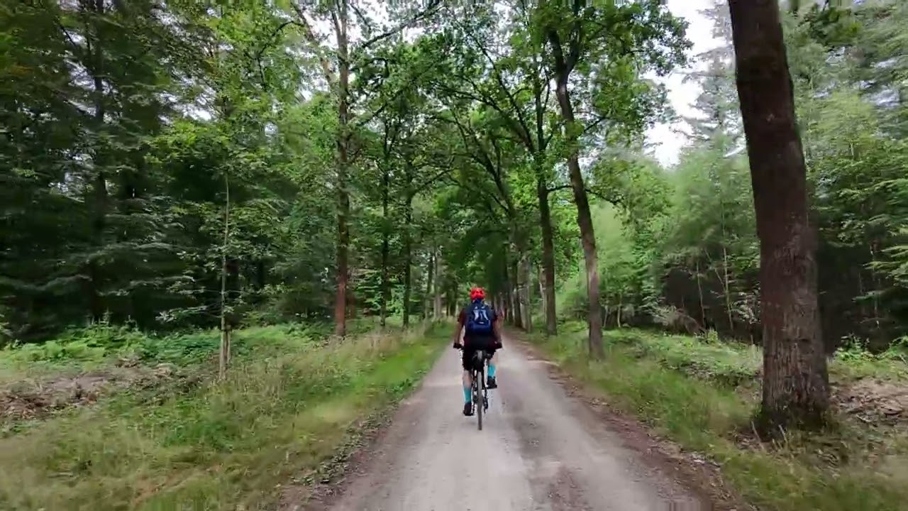 Rondje Strabrechtse Heide & Kasteel Heeze