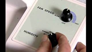 Bat Waterproofing - How Does Everdry Get Rid Of Musty Smell?