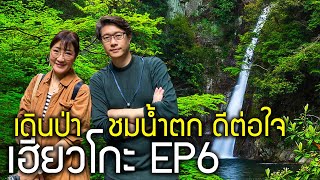 เที่ยวเฮียวโกะ EP6 เดินป่าชมน้ำตกนูโนะบิกิ Nunobiki สวยติด 1 ใน 100 ในญี่ปุ่น เที่ยวญี่ปุ่นโกเบ 神戸布引