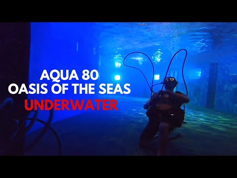 Video: Oasis of the Seas Aqua Theatre