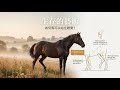 馬為何能站立睡覺