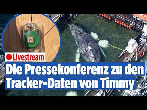 Neue Details zu Timmy! Was die Tracker-Daten verraten | LIVE