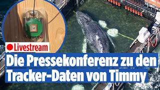 Neue Details zu Timmy! Pressekonferenz zu den Tracker-Daten | LIVE