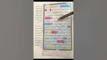 روابط سورة الأحقاف ١٥ : ٢٠