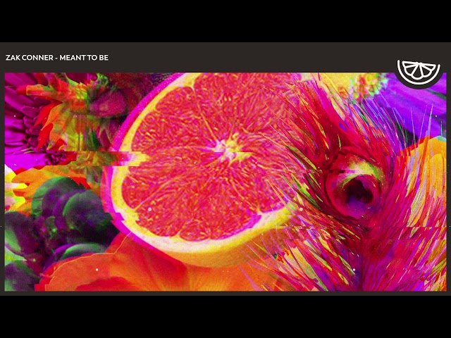 Zak Conner - Meant To Be | Future House 2020