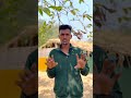Aseel farm shed ful construction video🐓#aseelhenfarming  #aseel #construction