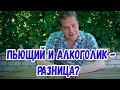 Пьющий и алкоголик. В чём разница?