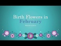 Korean Birth Flowers for February