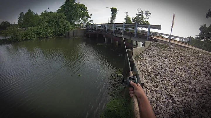 SALTY ANGLER BASS FISHING - OYSTER CREEK - SUGAR LAND TX - CLEVLAND LAKE - WACKY WORMING 11MAY17