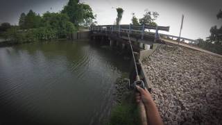SALTY ANGLER BASS FISHING - OYSTER CREEK - SUGAR LAND TX - CLEVLAND LAKE - WACKY WORMING 11MAY17
