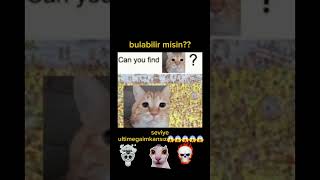 #omg #viral #trendler #trending #keşfet #keşfetteyiz #shorts #motivation #comedy #short