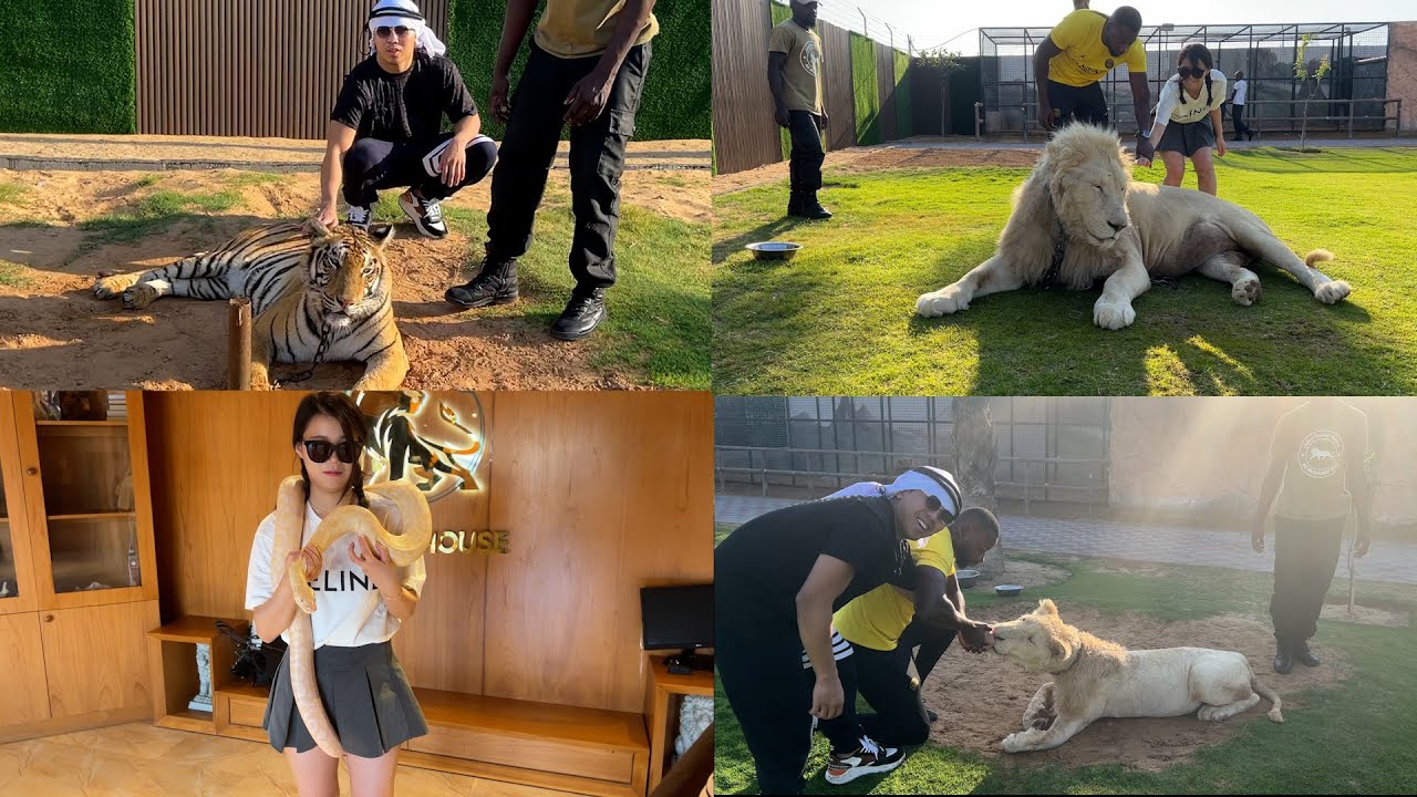 海外の危険な動物園に行ってみた