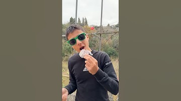 DUMB THINGS WE ALL DO🤦🤣#shorts#viral