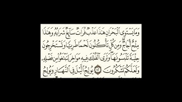 سورة فاطر آية١٢ #سورةالكوثر #المصحف #الرحمن #سورةالفاتحة #لايك #اكسبلور #الظروف #تيك_توك #ترند