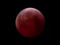 Lunar Eclipse 03 14 2025