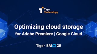 Optimizing cloud storage usage for Adobe Premiere in Google Cloud