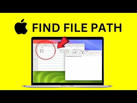 How to Get File Path in Mac? Find File Path in Mac